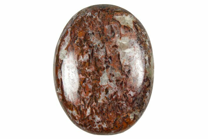 Polished Dinosaur Bone (Gembone) Cabochon - Colorado #370782
